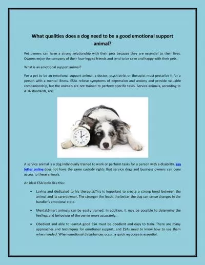 What qualities does a dog need to be a good emotional support animal?