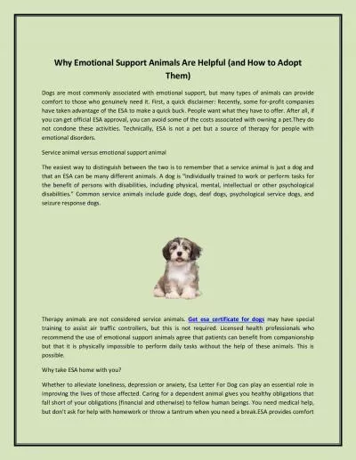 Why Emotional Support Animals Are Helpful (and How to Adopt Them)