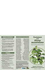 www.dnr.state.wi.us/invasives/fact/buckthorn_com.htm