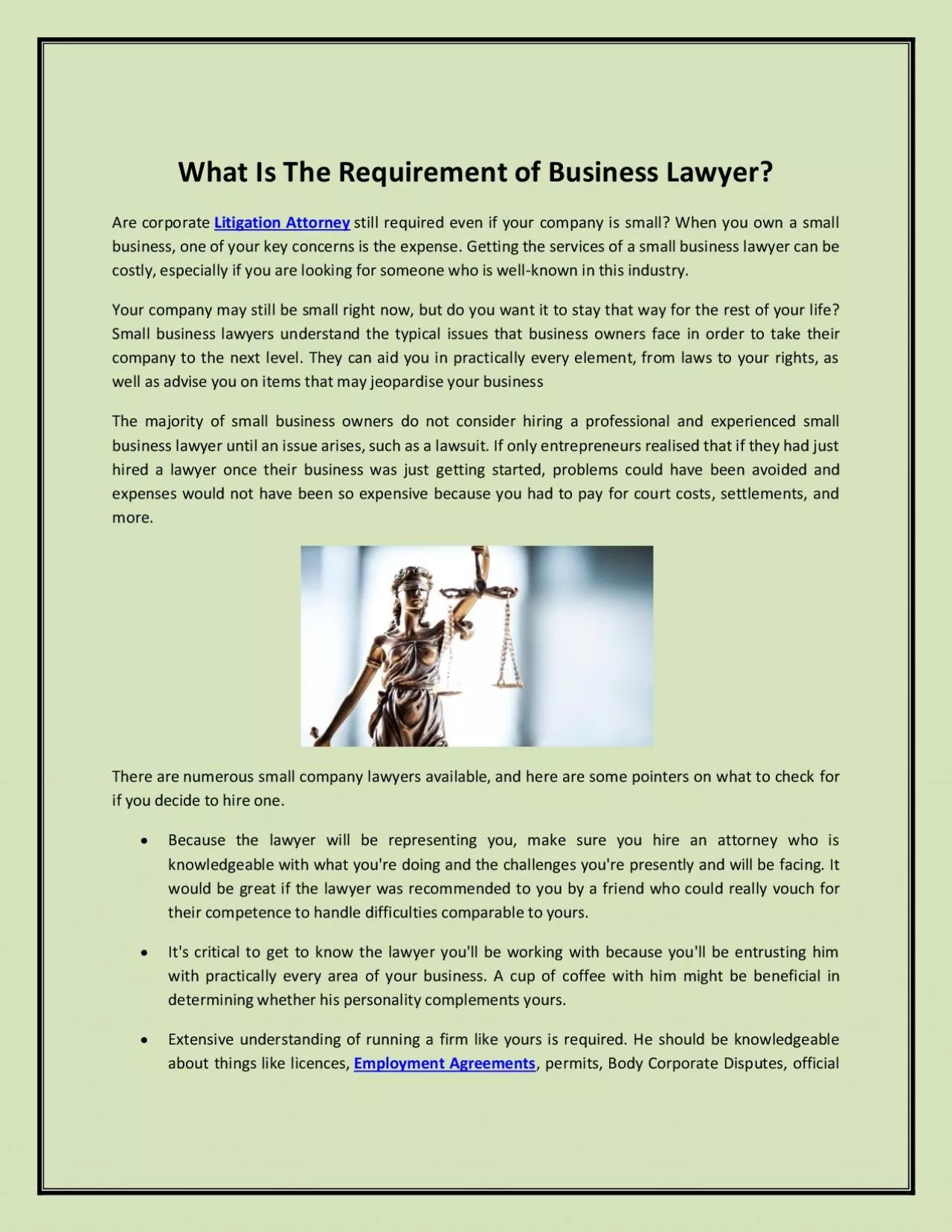 PDF-What Is The Requirement of Business Lawyer?