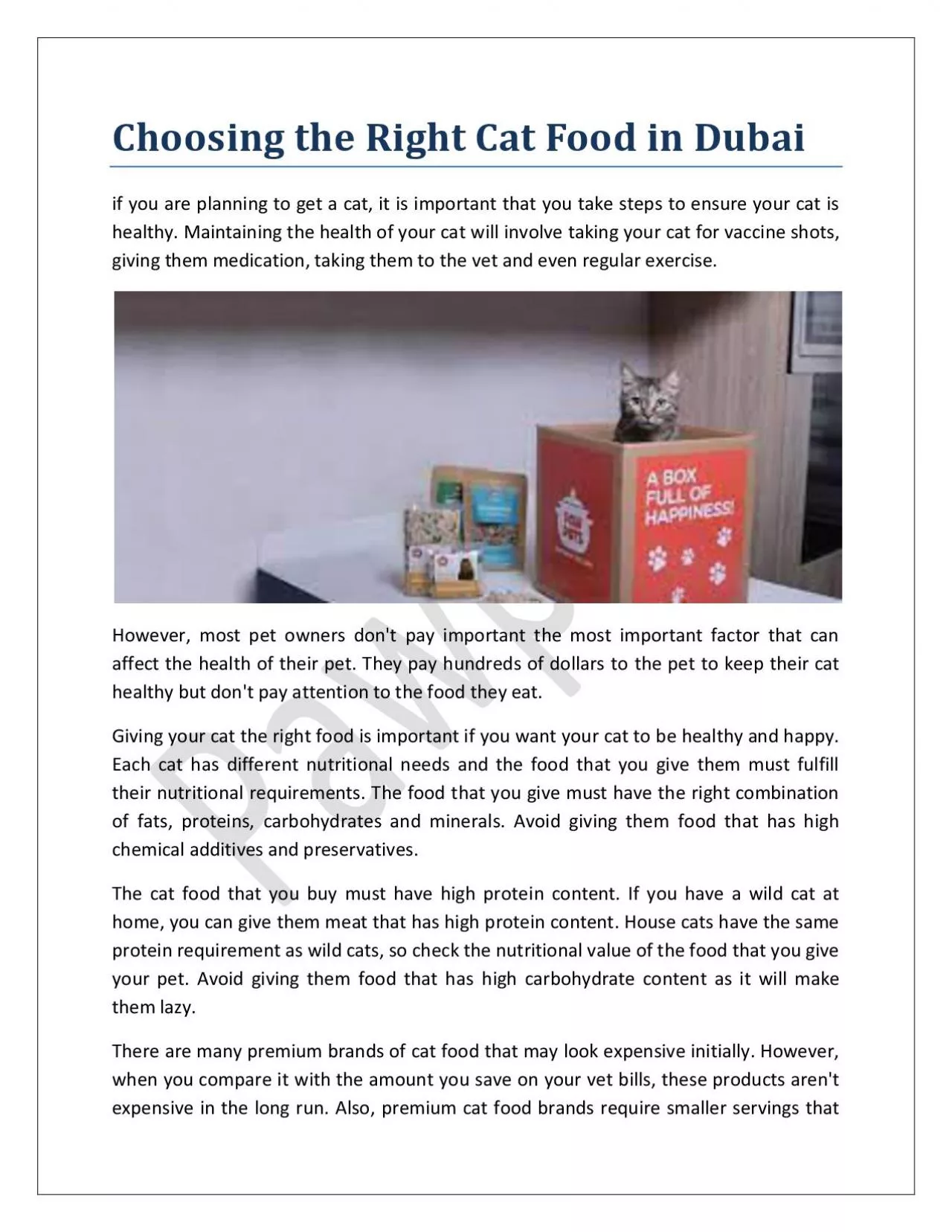 Choosing the Right Cat Food in Dubai