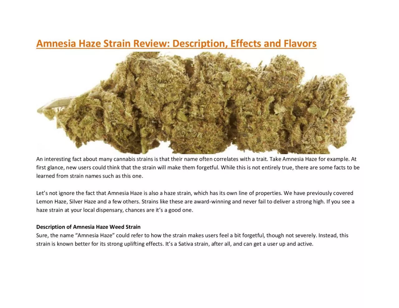 PDF-Amnesia Haze Strain Review: Description, Effects and Flavors