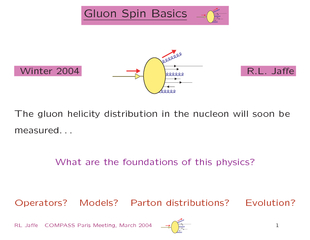 GluonSpinBasics