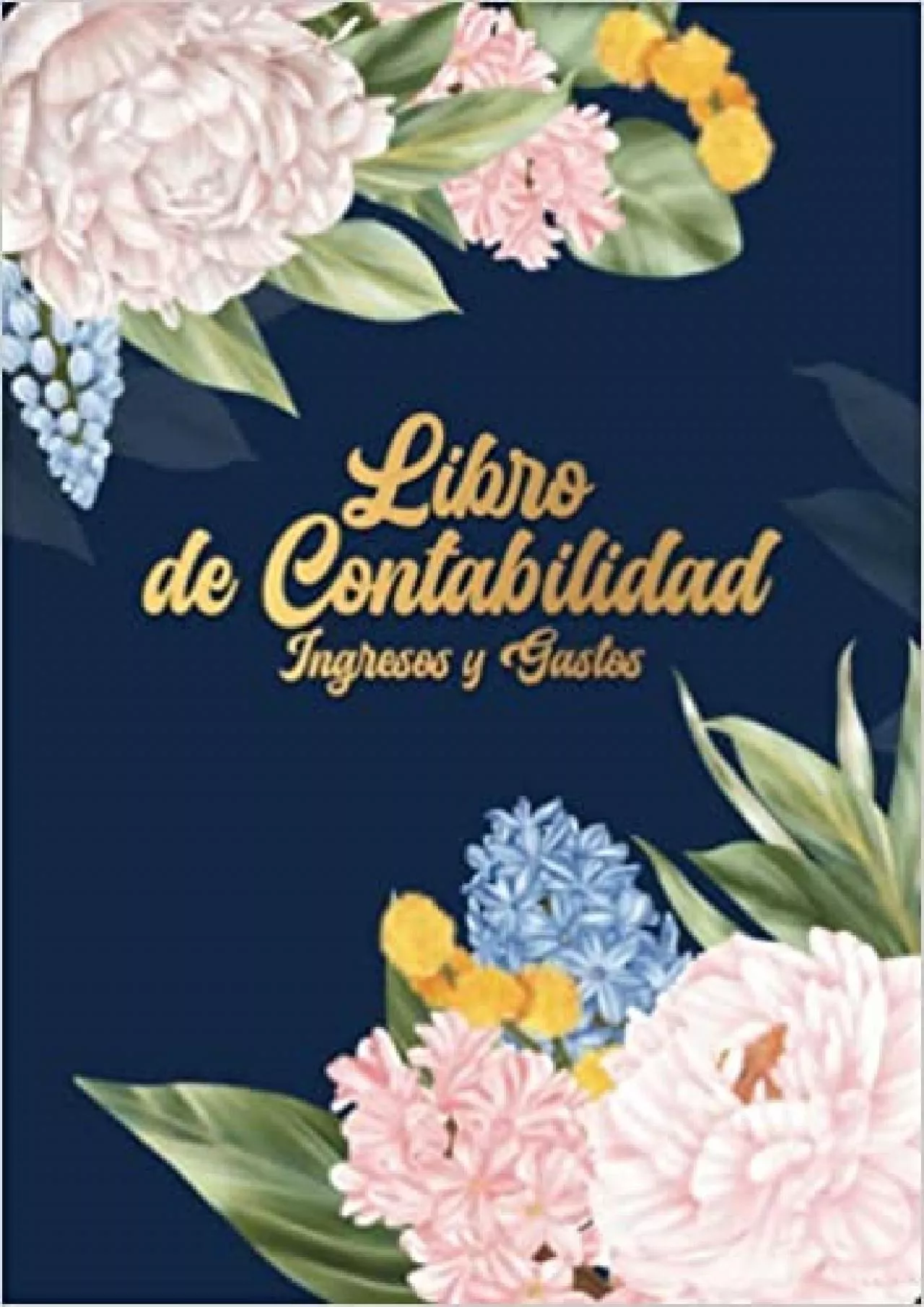 PDF-Libro de contabilidad ingresos y gastos: Para mantener sus finanzas bajo control de forma