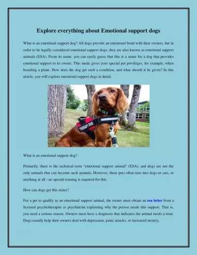 Explore everything about Emotional support dogs