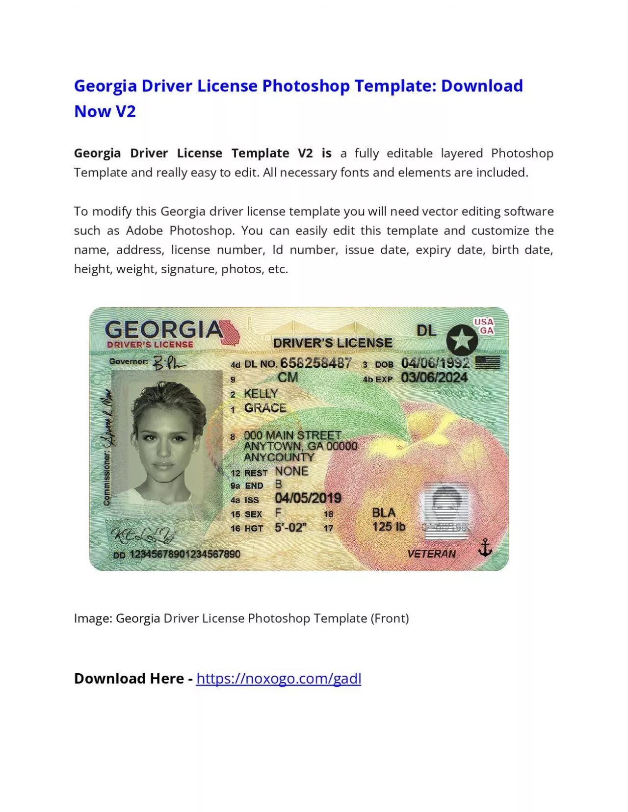 Georgia Driver License Photoshop Template V2