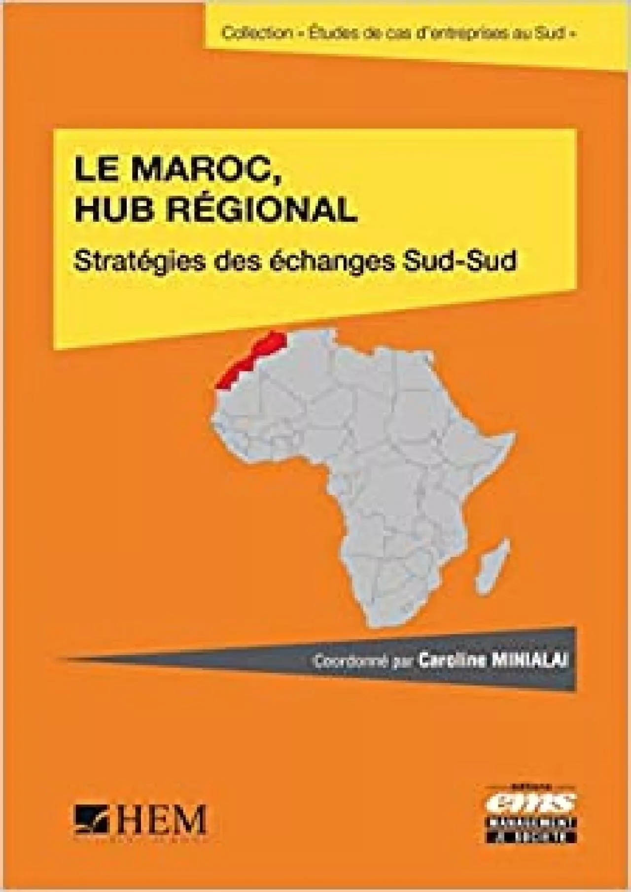 PDF-Le Maroc hub rÃ©gional: StratÃ©gie des Ã©changes sud-sud.