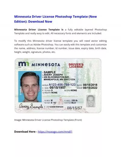 Minnesota Driver License Photoshop Template (New Edition)