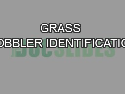 GRASS GOBBLER IDENTIFICATION