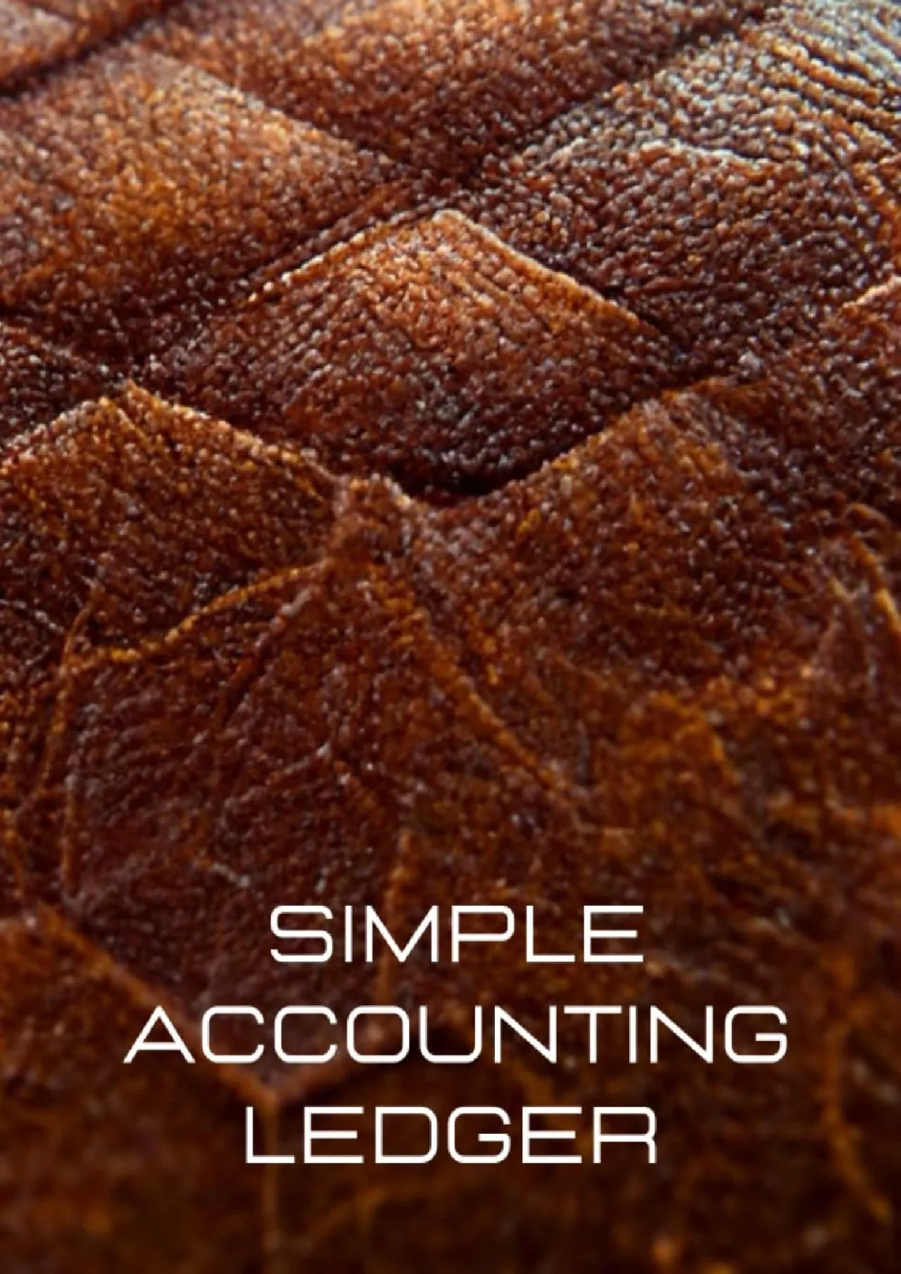 Simple accounting ledger | Accounting notes and bookkeeping notebook | 100 pages | 85â€™â€™