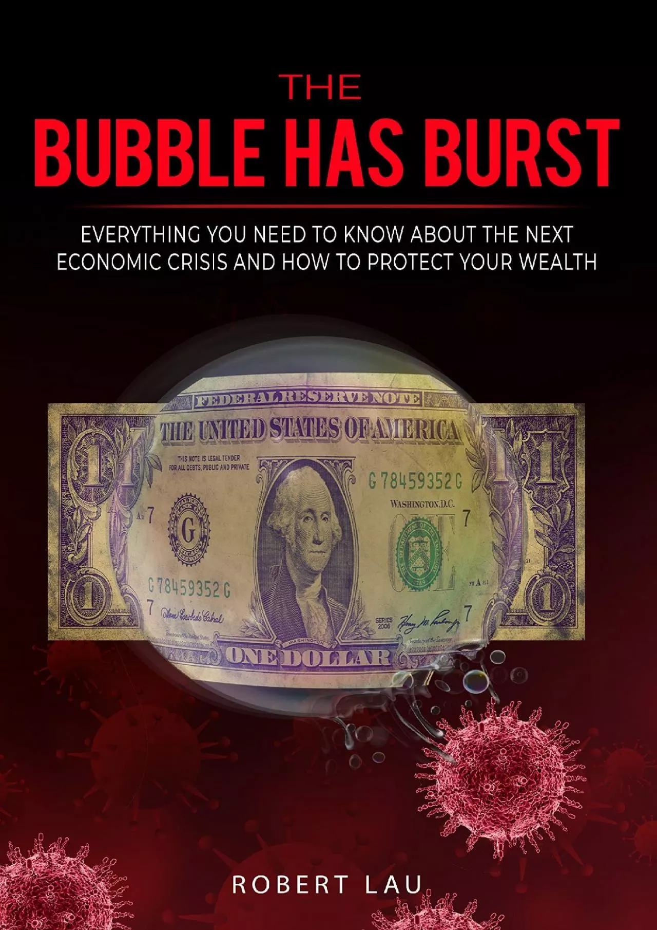 The Bubble Has Burst: Everything You Need to Know About the Next Economic Crisis and How