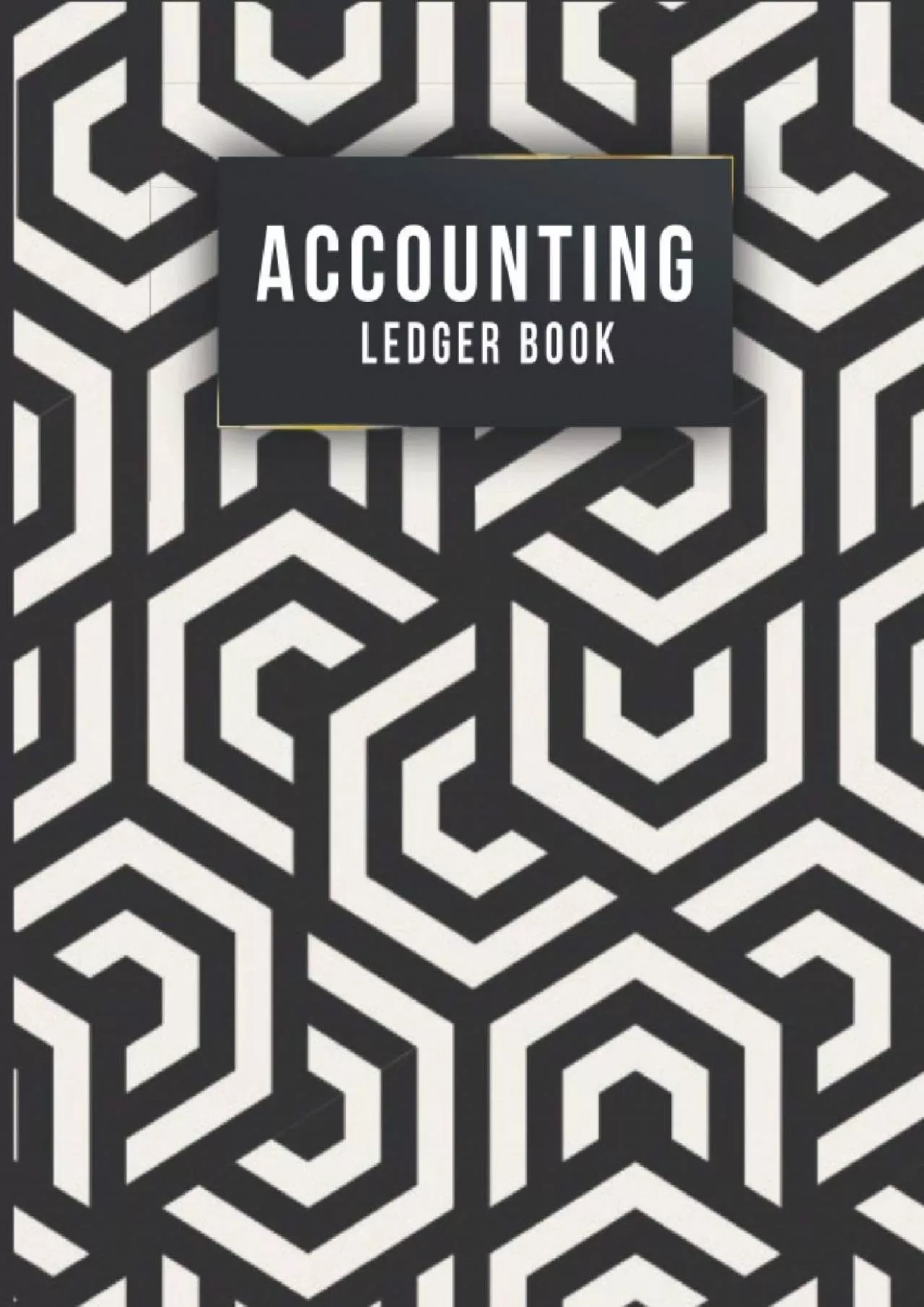 Accounting Ledger Book: General Business Ledger Checking Account Ledger Book For Bookkeeping