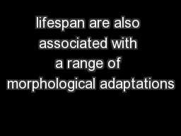lifespan are also associated with a range of morphological adaptations