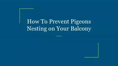 How To Prevent Pigeons Nesting on Your Balcony