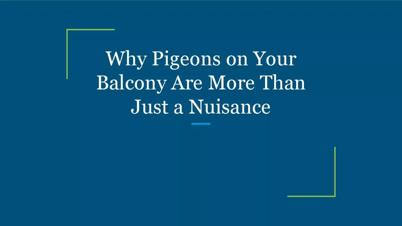 PDF-Why Pigeons on Your Balcony Are More Than Just a Nuisance