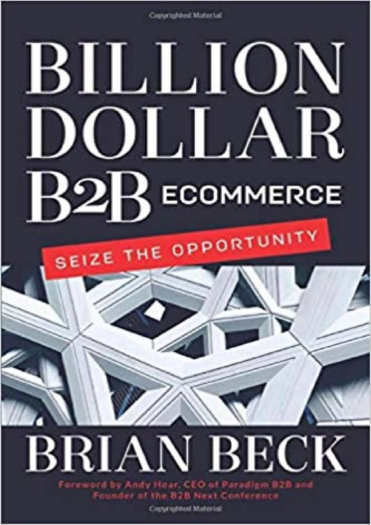 PDF-Billion Dollar B2B Ecommerce Seize the Opportunity