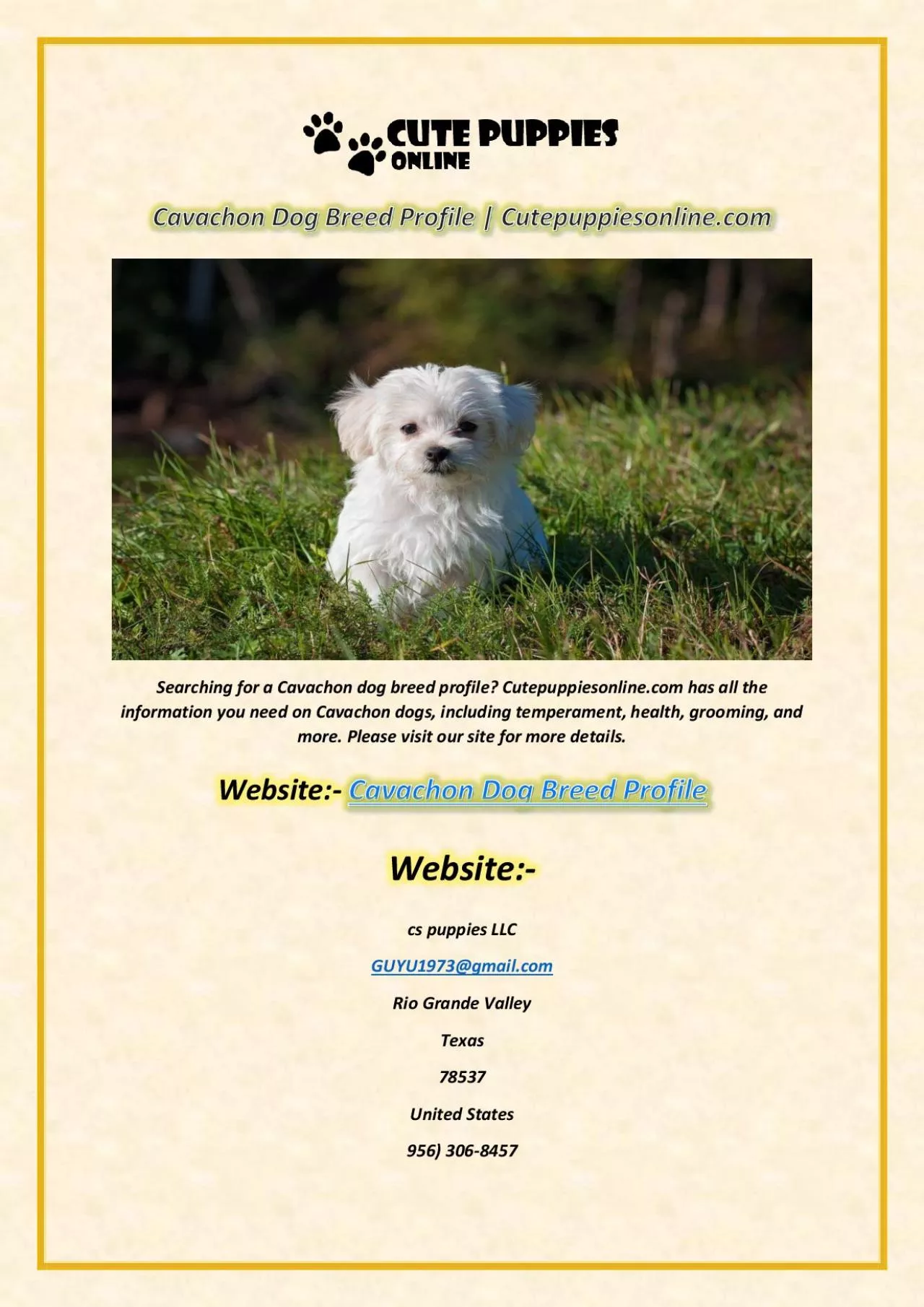 PDF-Cavachon Dog Breed Profile | Cutepuppiesonline.com