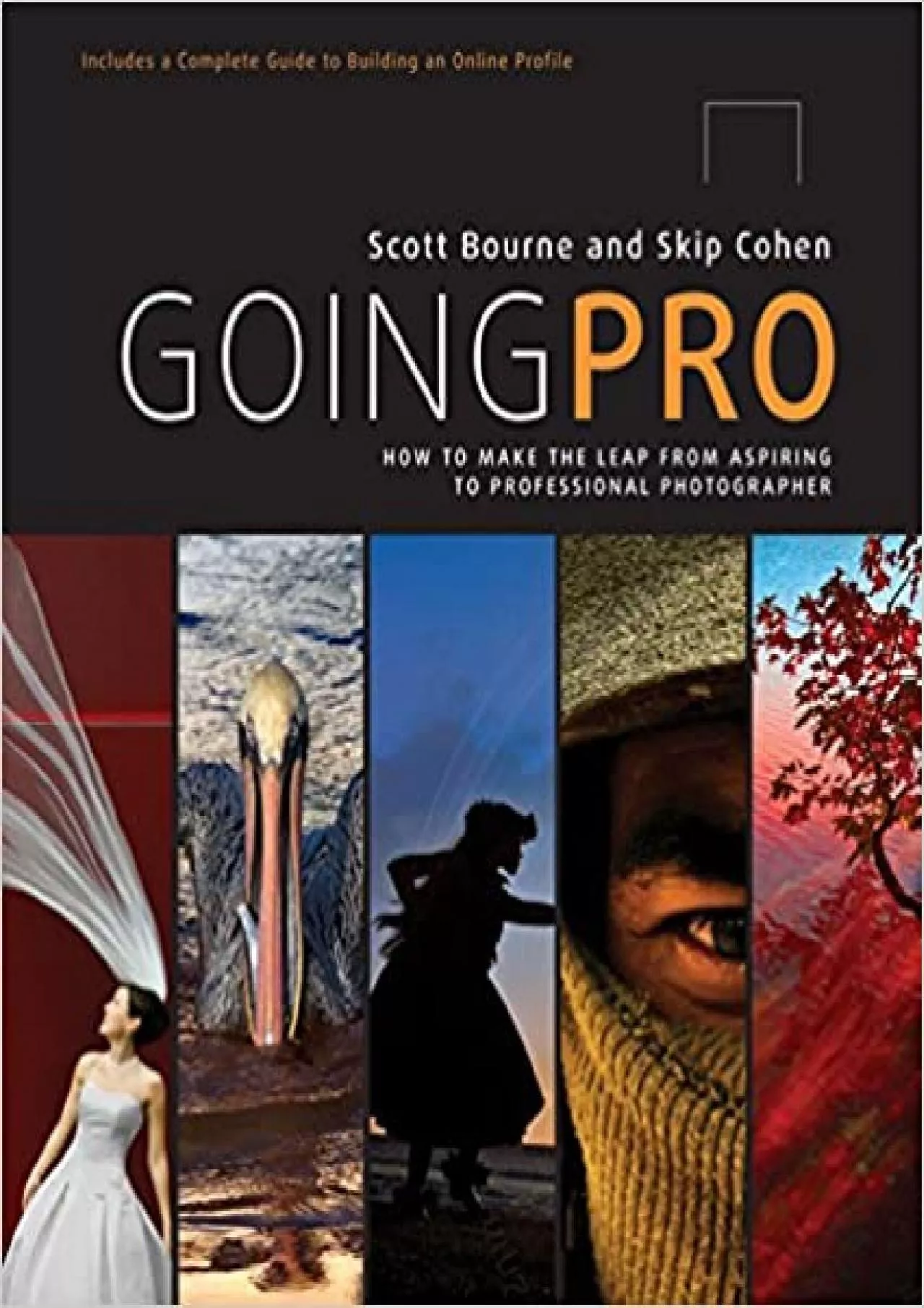 PDF-Going Pro: How to Make the Leap from Aspiring to Professional Photographer