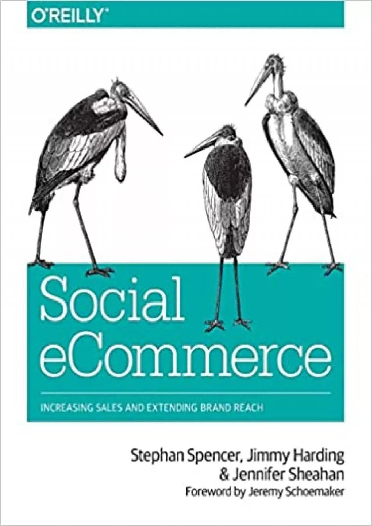 PDF-Social eCommerce: Increasing Sales and Extending Brand Reach