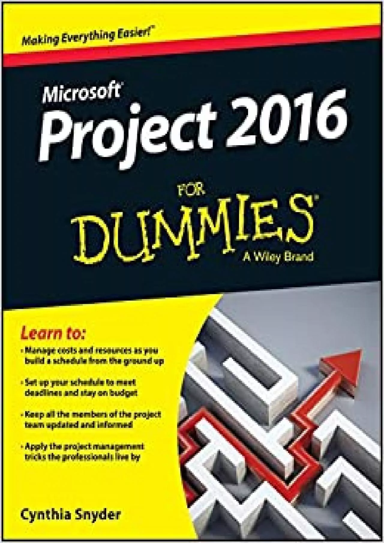 PDF-Project 2016 For Dummies