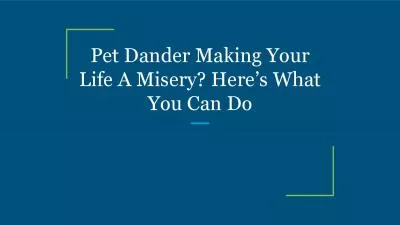 Pet Dander Making Your Life A Misery? Here’s What You Can Do