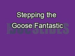 Stepping the Goose Fantastic