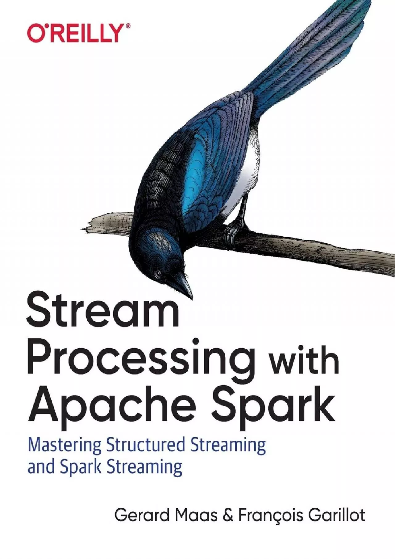 PDF-Stream Processing with Apache Spark: Mastering Structured Streaming and Spark Streaming