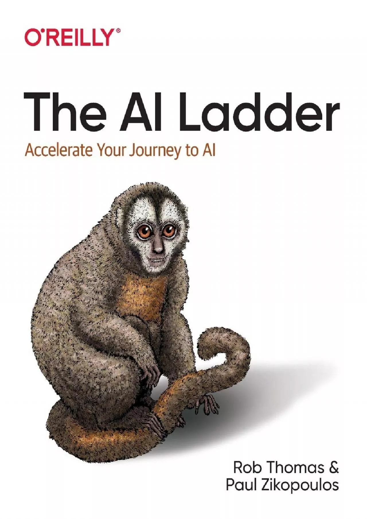 PDF-The AI Ladder: Accelerate Your Journey to AI