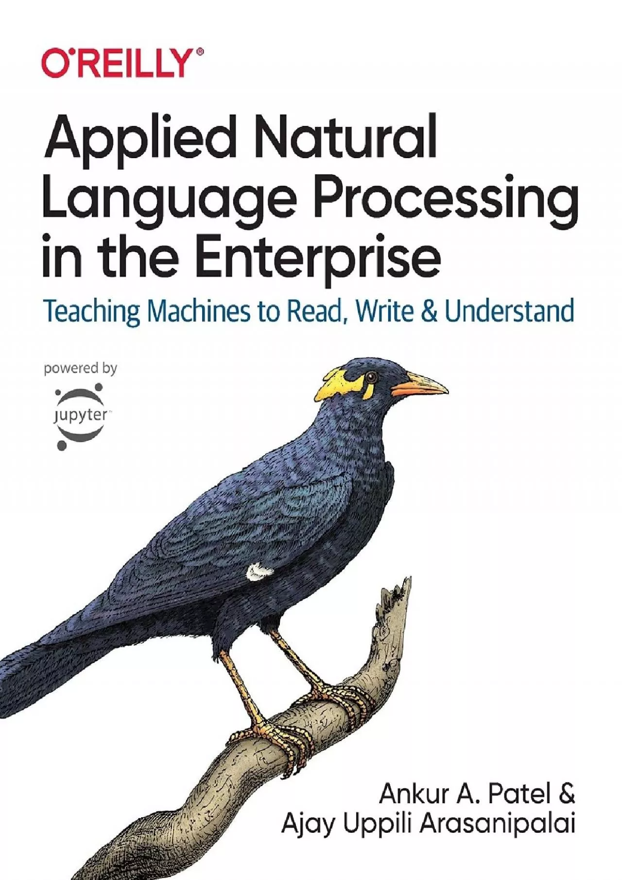Applied Natural Language Processing in the Enterprise: Teaching Machines to Read, Write,