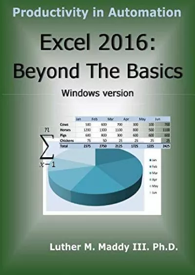 Excel 2016: Beyond the basics