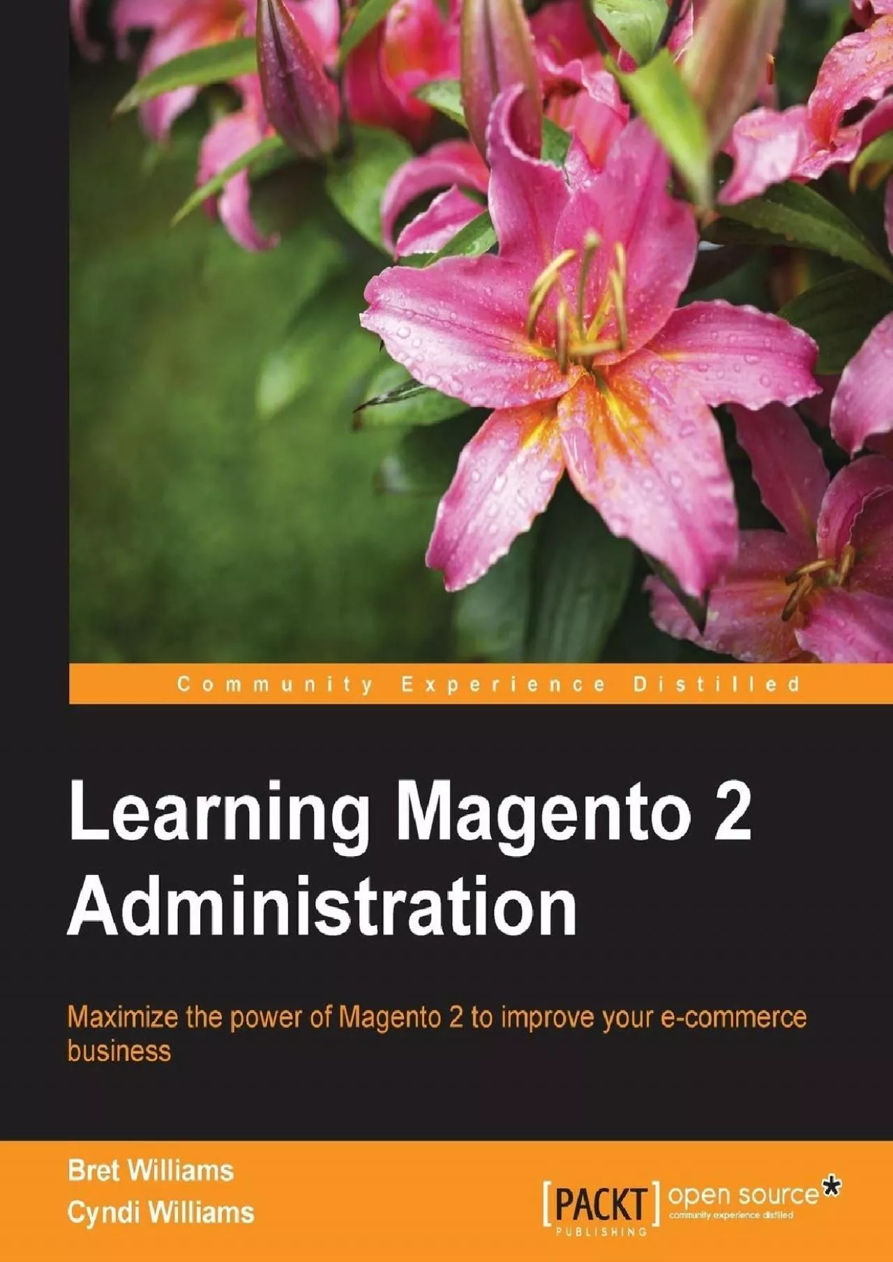 PDF-Learning Magento 2 Administration