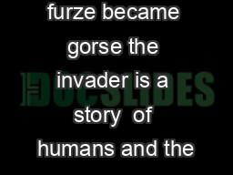 How sweet furze became gorse the invader is a story  of humans and the