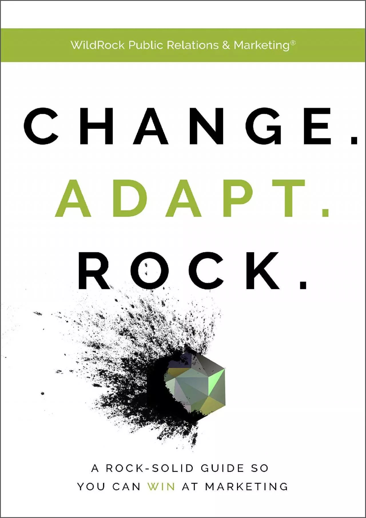 Change. Adapt. Rock. : The Ultimate Marketing Book for Your Business (Marketing Books