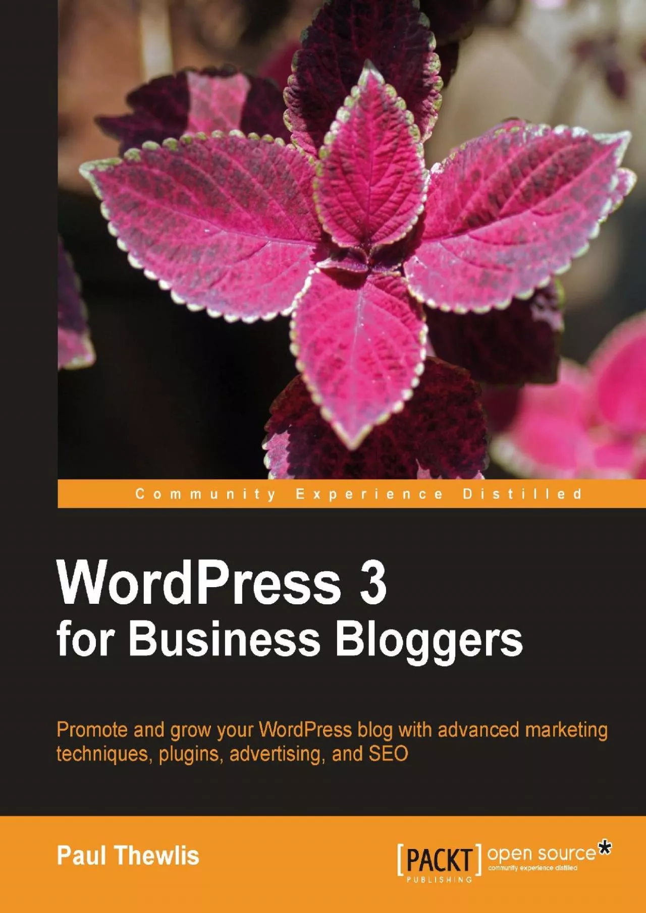 PDF-WordPress 3 For Business Bloggers