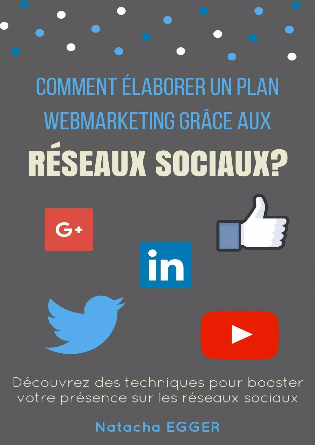Petit Guide Pratique - COMMENT ELABORER UN PLAN WEBMARKETING GRÂCE AUX RESEAUX SOCIAUX?: