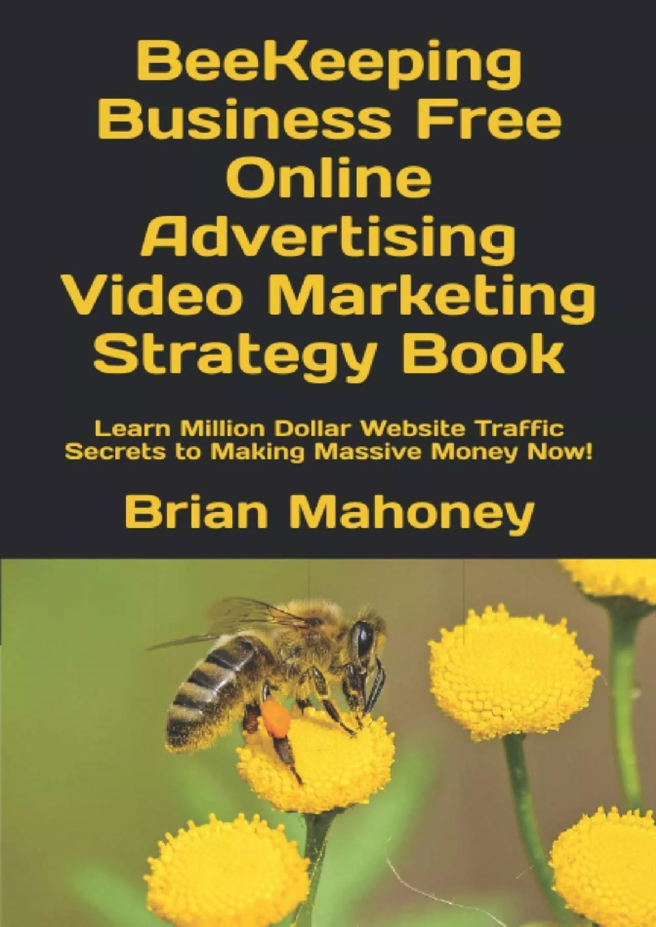 BeeKeeping Business Free Online Advertising Video Marketing Strategy Book: Learn Million