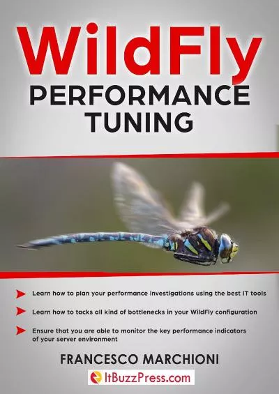 [READ]-WildFly Performance Tuning