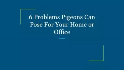 6 Problems Pigeons Can Pose For Your Home or Office