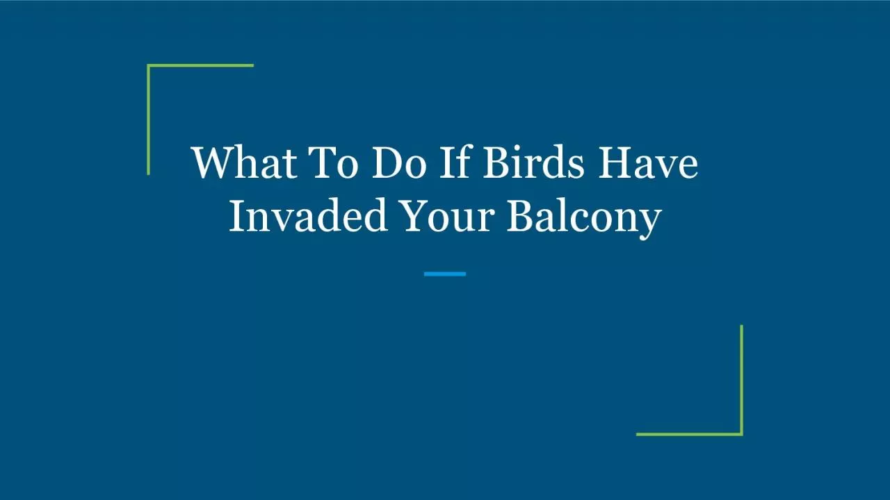 PDF-What To Do If Birds Have Invaded Your Balcony