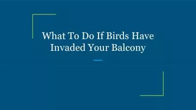 What To Do If Birds Have Invaded Your Balcony