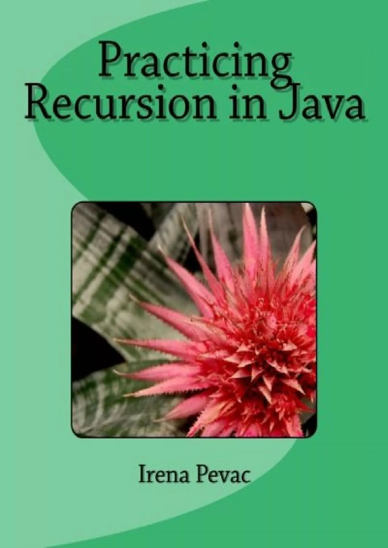 PDF-[READ]-Practicing Recursion in Java