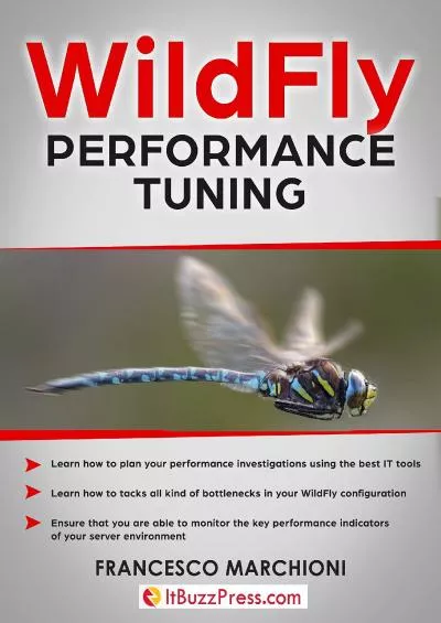 [READING BOOK]-WildFly Performance Tuning