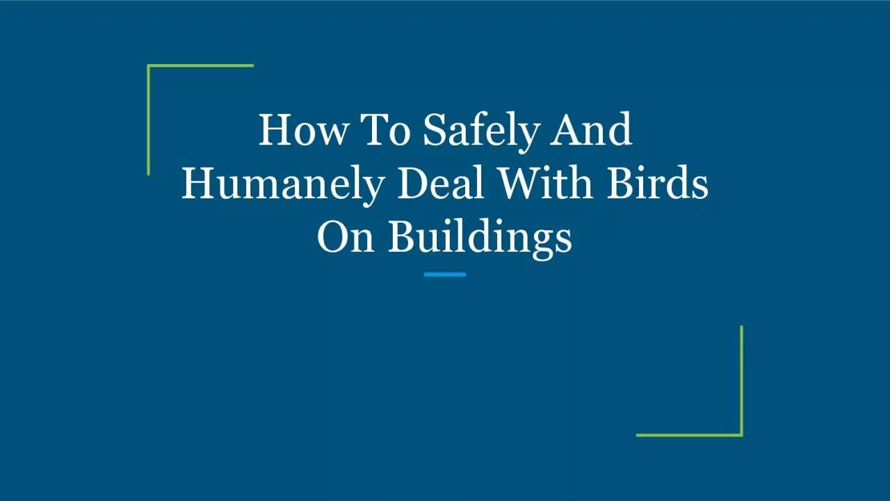 PDF-How To Safely And Humanely Deal With Birds On Buildings