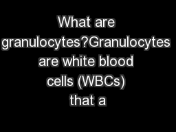 What are granulocytes?Granulocytes are white blood cells (WBCs) that a
