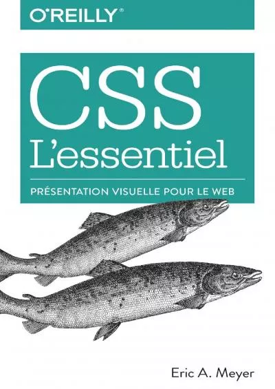 [READING BOOK]-CSS l\'essentiel - présentation visuelle pour le web