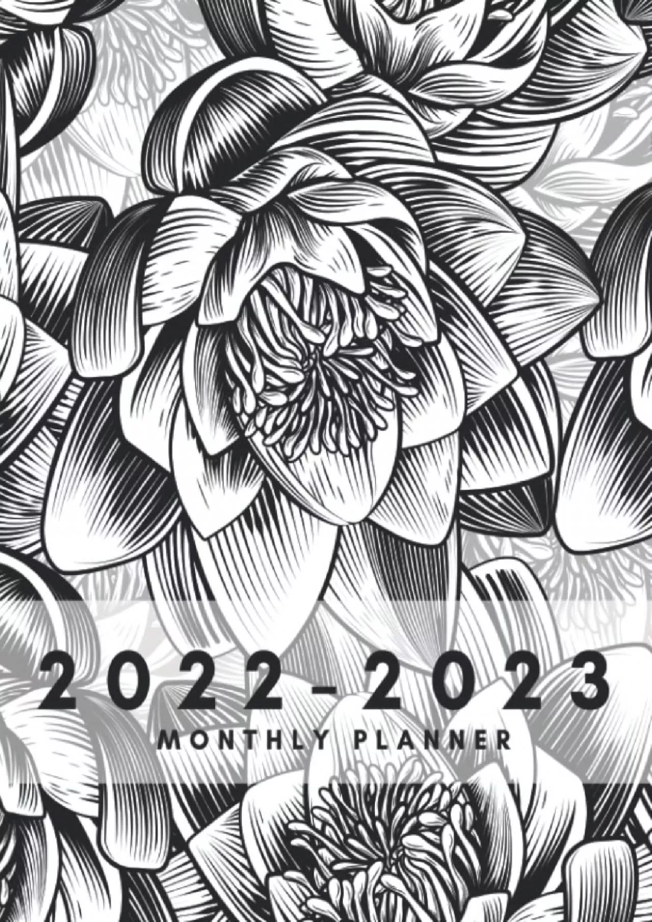 PDF-[FREE]-2022-2023 Monthly Planner: Large Two Year Monthly Calendar Planner for Work or