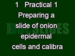 1   Practical 1 Preparing a slide of onion epidermal cells and calibra