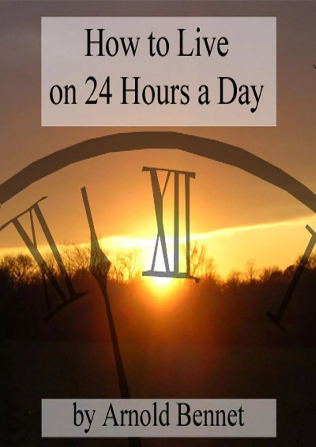 PDF-(BOOK)-How to Live on 24 Hours a Day