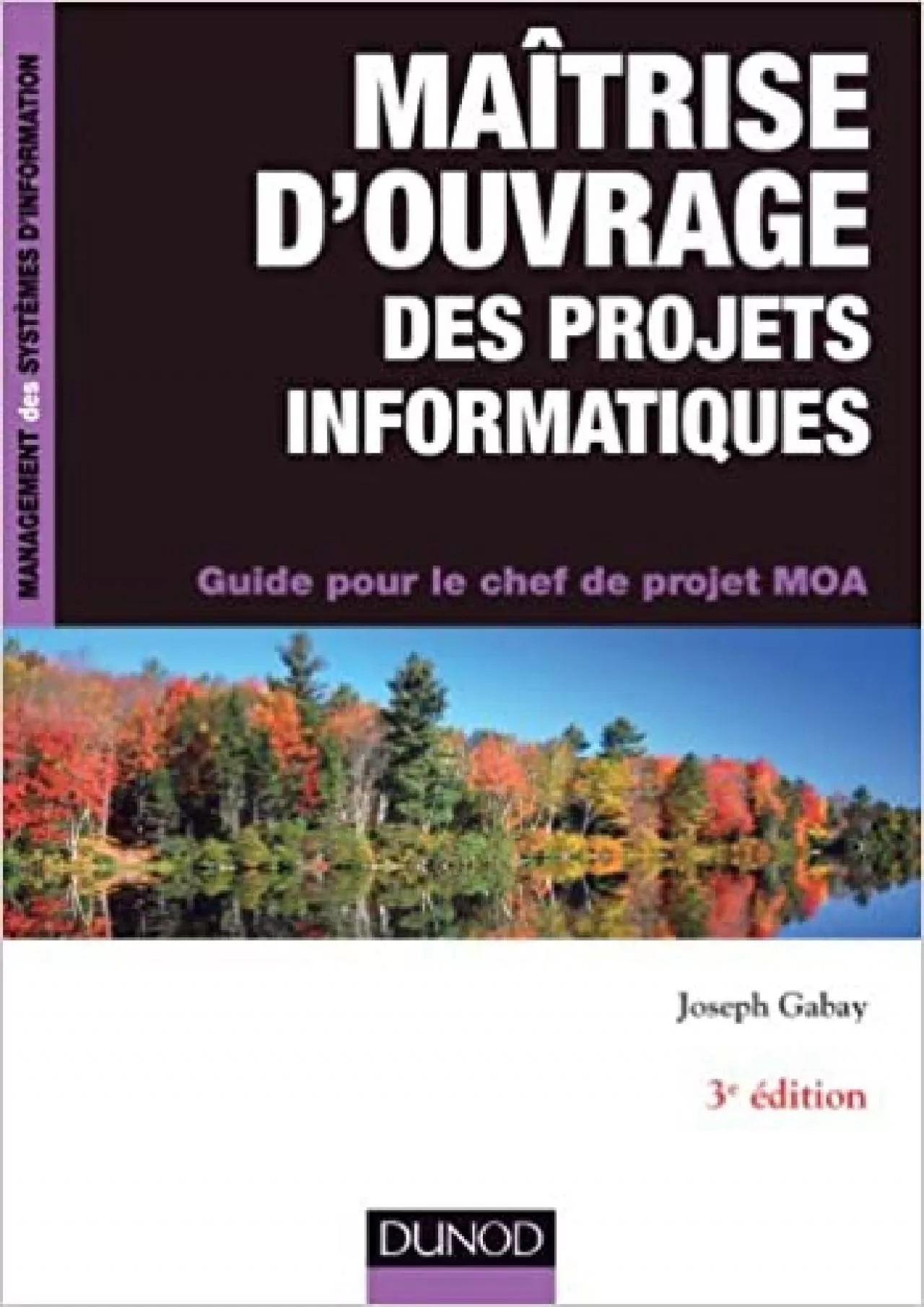 PDF-(BOOK)-Maîtrise d\'ouvrage des projets informatiques - 3e éd. - Guide pour le chef de