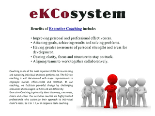 Executive Coaching